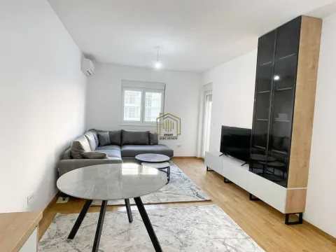 Izdavanje, jednosoban stan, 48m², Stari Aerodrom, Podgorica - image 4