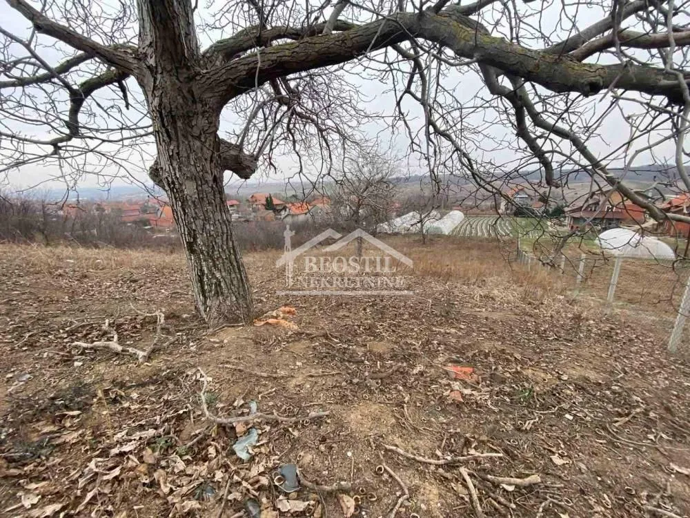 Prodaja, plac, 2014m², Vučak, Smederevo