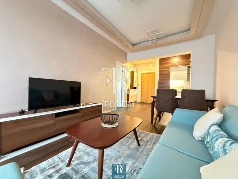 Izdavanje, jednosoban stan, 50m², Vezirov Most, Podgorica - image 2