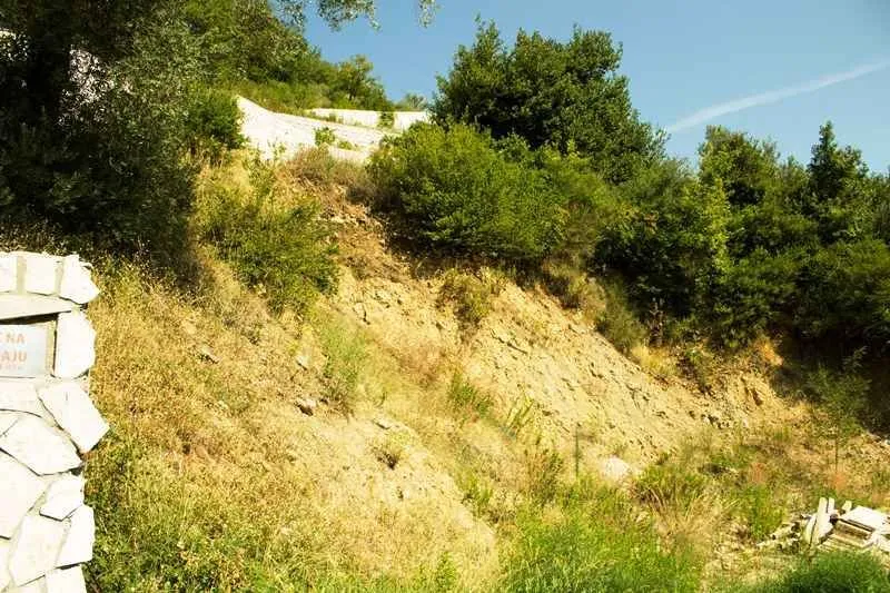 Pogled na kosinu zemljišta obraslu rastinjem i drvećem.
