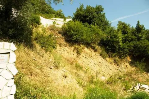 Pogled na kosinu zemljišta obraslu rastinjem i drvećem. - image 6