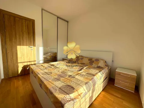 Izdavanje, jednosoban stan, 45m², Stari Aerodrom, Podgorica - image 7