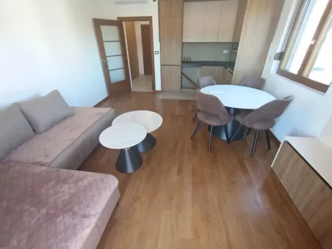 Izdavanje, jednosoban stan, 50m², Centar, Podgorica