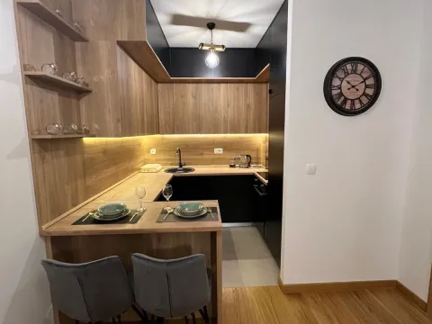 Rent, one bedroom apartment, 47m², New City, Podgorica - image 1