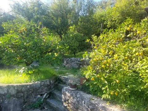 Prodaja, kuća, 180m², Novo Selo, Danilovgrad - image 6