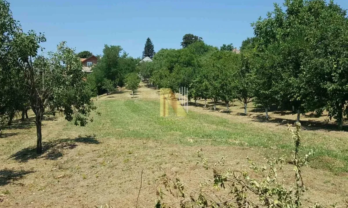 Sale, house, 65m², Čortanovci, Inđija