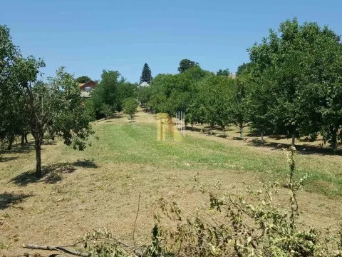 Sale, house, 65m², Čortanovci, Inđija