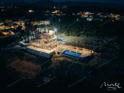 Night aerial view of the house with a swimming pool and illuminated yard. - image 38