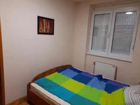 Prodaja, jednosoban stan, 43m², Grbavica, Novi Sad Sve Podlokacije - image 3