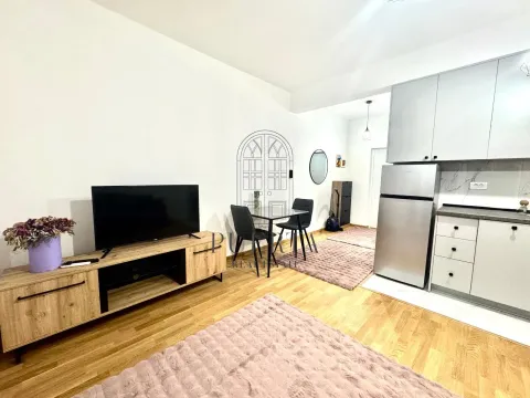 Rent, studio apartment, 33m², Zabjelo, Podgorica - image 4