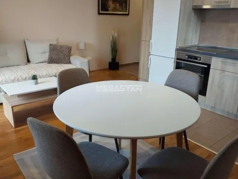 Rent, two bedroom apartment, 40m², Ledine, Beograd - image 11