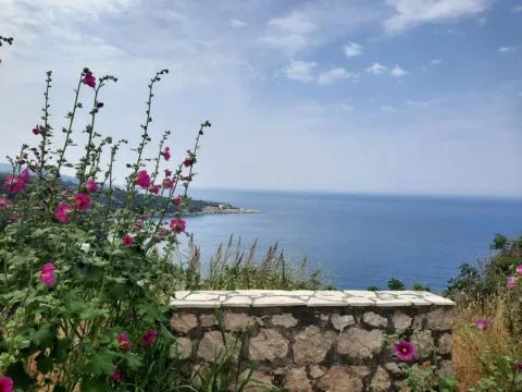 Sea view from a terrace with flowers and a stone wall. - image 6