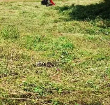 Prodaja, plac, 30905m², Mojkovac, Crna Gora - image 3