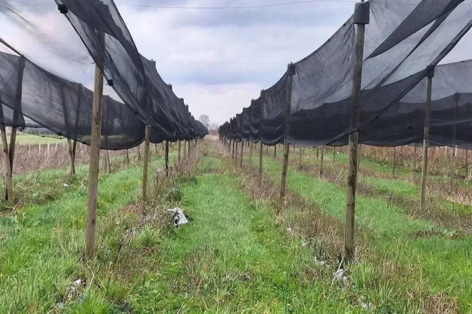 Sale, land lot, 10800m², Šabac, Srbija