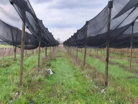 Sale, land lot, 10800m², Šabac, Srbija - image 1