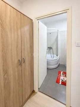 View from the hallway into the bathroom with a shower cabin and a built-in wardrobe. - image 6