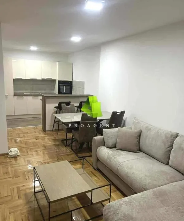 Izdavanje, dvosoban stan, 75m², Palilula, Niš