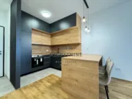 Izdavanje, jednosoban stan, 49m², Stari Aerodrom, Podgorica - image 7