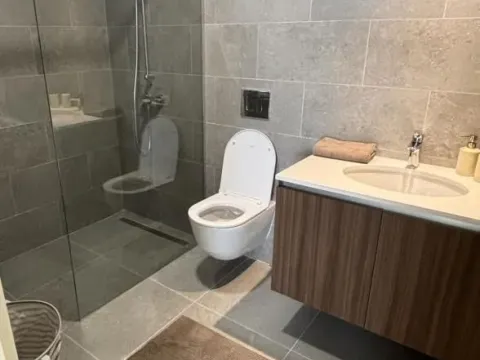 Izdavanje, trosoban stan, 80m², Savski Venac, Beograd - image 13