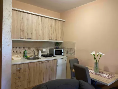 Prodaja, stan, 38m², Cetinje, Crna Gora - image 2