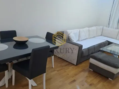 Izdavanje, jednosoban stan, 45m², Zagorič, Podgorica - image 4