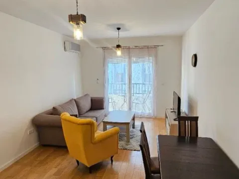 Izdavanje, jednosoban stan, 49m², Centar, Podgorica - image 4