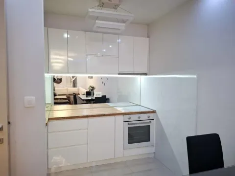 Izdavanje, jednosoban stan, 44m², Zagorič, Podgorica - image 7