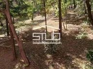 Prodaja, jednosoban stan, 45m², Karaburma, Palilula Sve Podlokacije - image 2