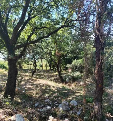 Prodaja, plac, 1227m², Dobra Voda, Budva