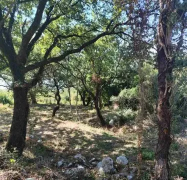 Prodaja, plac, 1227m², Dobra Voda, Budva - image 4