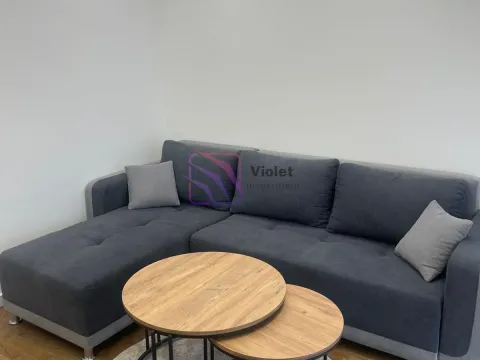 Izdavanje, jednosoban stan, 55m², Zagorič, Podgorica - image 1