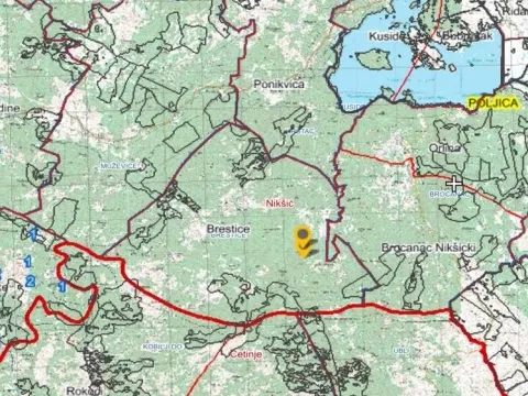 Prodaja, plac, 480000m², Nikšić, Crna Gora - image 4