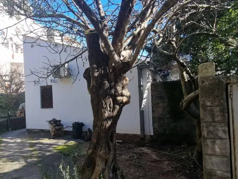 Sale, house, 50m², Budva, Crna Gora - image 3