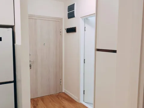 Sale, one bedroom apartment, 40m², Central Point, Podgorica - image 3