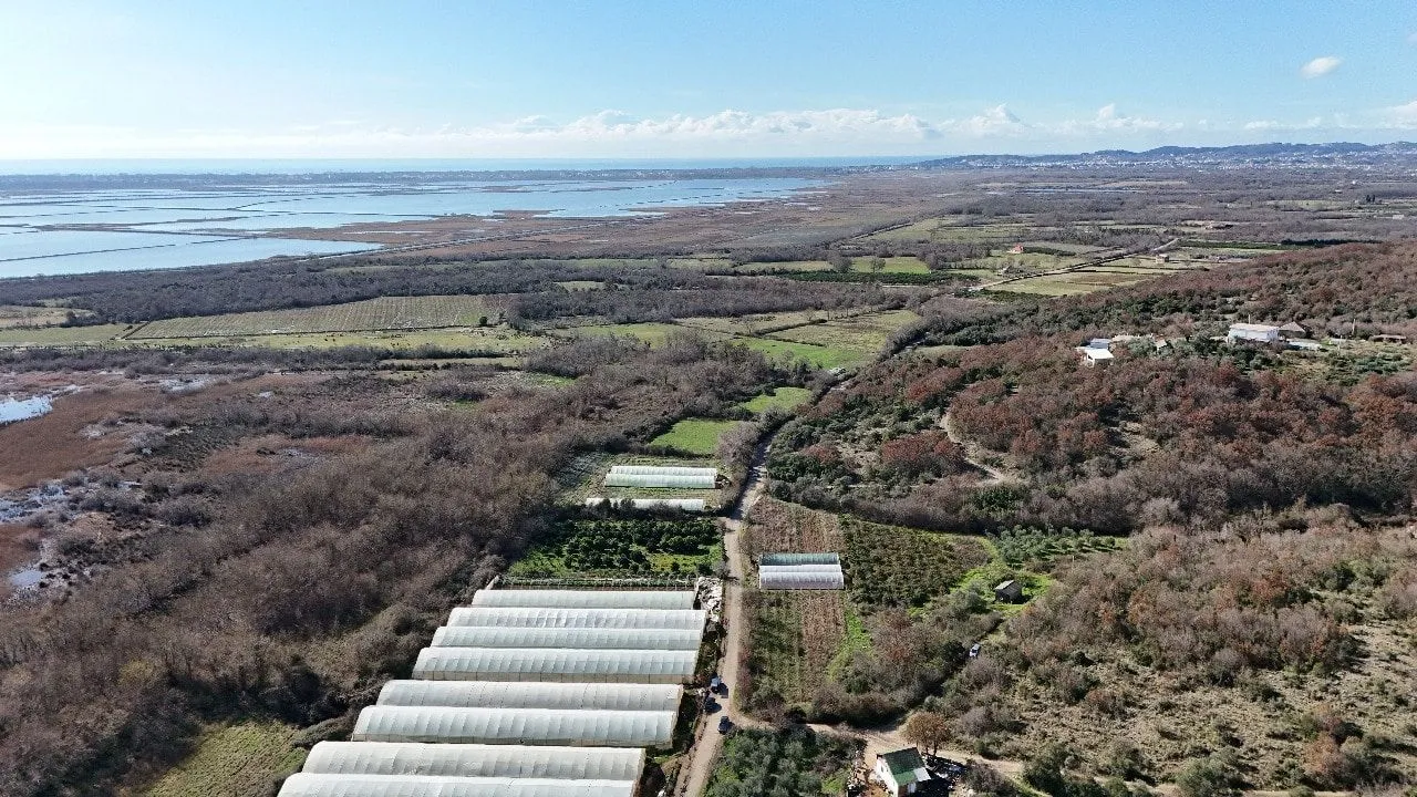 Prodaja, plac, 6000m², Darza, Ulcinj