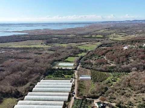 Prodaja, plac, 6000m², Darza, Ulcinj - image 2