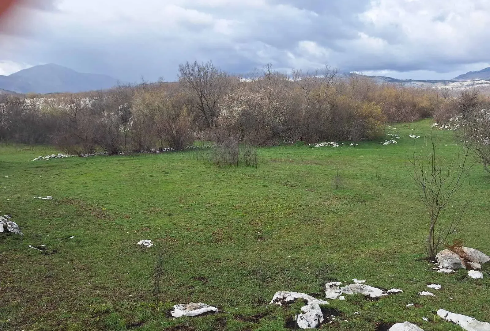 Prodaja, plac, 17000m², Podgorica, Crna Gora