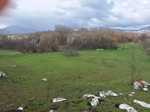 Prodaja, plac, 17000m², Podgorica, Crna Gora - image 8