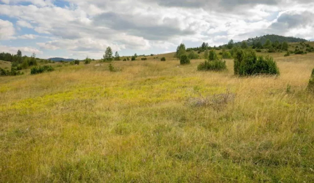 Prodaja, plac, 570m², Borje, Žabljak