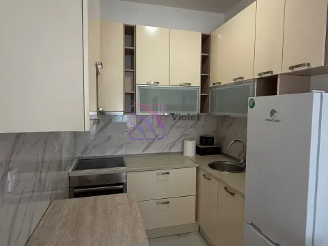 Izdavanje, jednosoban stan, 47m², Zagorič, Podgorica - image 9