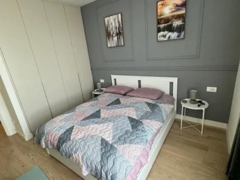 Izdavanje, dvosoban stan, 52m², Savski Venac, Beograd - image 8