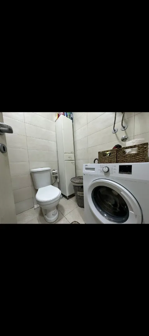 Smaller bathroom with toilet and washing machine.