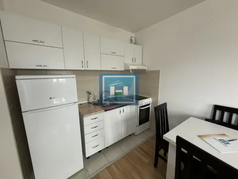 Izdavanje, jednosoban stan, 41m², Centar, Jagodina - image 3