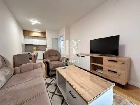 Izdavanje, jednosoban stan, 47m², Central Point, Podgorica - image 5