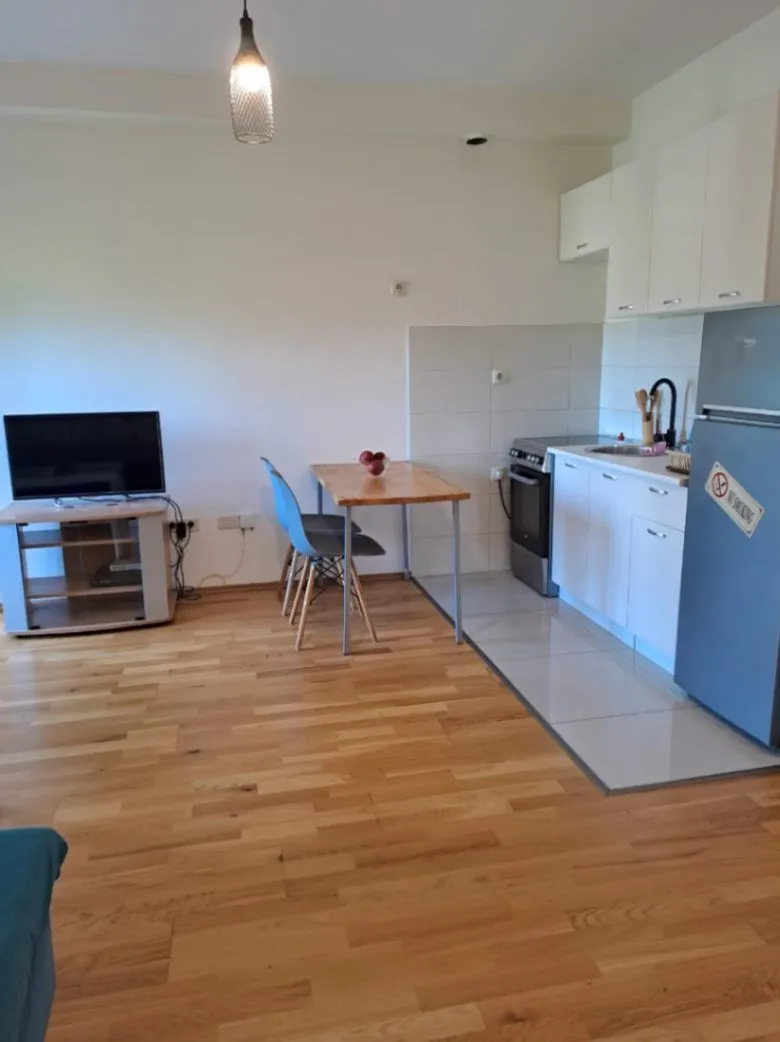 Izdavanje, garsonjera, 25m², Zabjelo, Podgorica