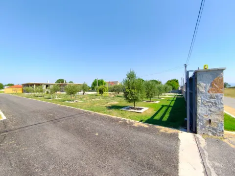 Sale, house, 250m², Zeta, Podgorica - image 8