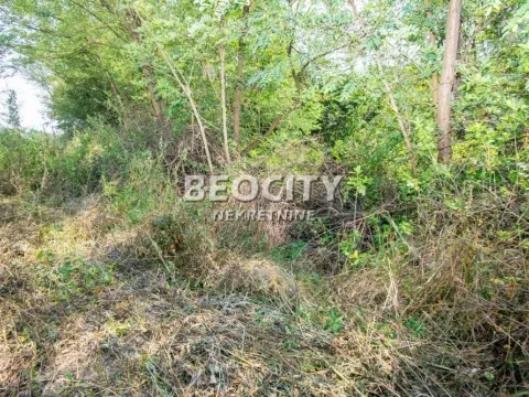 Prodaja, plac, 35m², Ralja, Smederevo - image 6