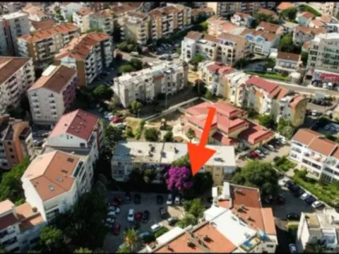 Izdavanje, stan, 39m², Podkošljun, Budva - image 5