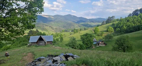 Prelep planinski pejzaž sa tradicionalnim drvenim brvnarama okruženim zelenim brdima. - image 5