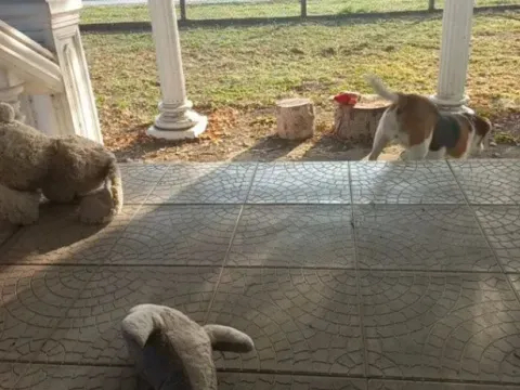 Sale, house, 100m², Obrež, Pećinci - image 5